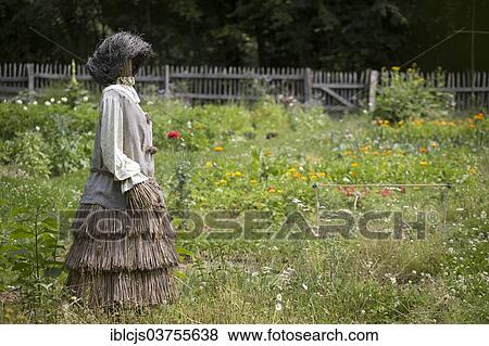 "Scarecrow made of straw standing in a garden, Bergisches Land, North Rhine-Westphalia, Germany, Europe" View Large Photo Image Stock Photo - "Scarecrow made of straw standing in a garden, Bergisches Land, North Rhine-Westphalia, Germany, Europe". Fotosearch