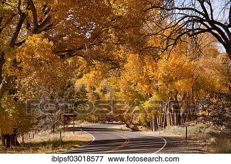 "Scenic drive, Capitol Reef National Park, Capitol-Reef-Nationalpark, Utah, United States, North America" View Large Photo Image Stock Photo - "Scenic drive, Capitol Reef National Park, Capitol-Reef-Nationalpark, Utah, United States, North America". Fotosearch