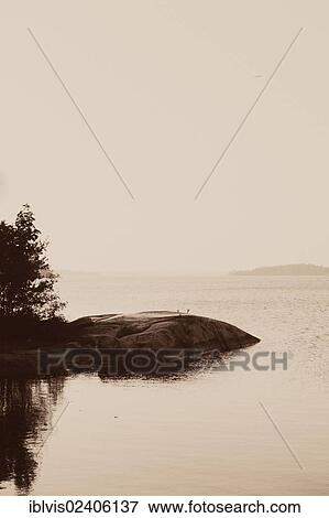 "Scenic view of archipelago in Stockholm, Sweden, Europe" View Large Photo Image Stock Photo - "Scenic view of archipelago in Stockholm, Sweden, Europe". Fotosearch
