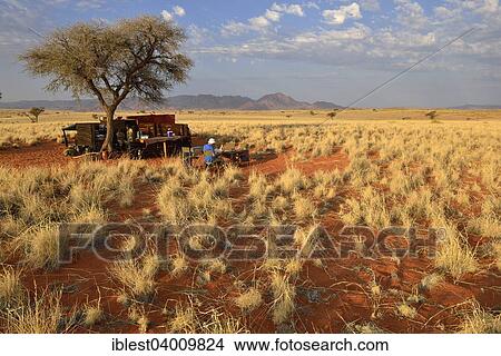 "Schafberg Camp along Tok Tokkie Trail, Namib Rand Nature Reserve, Namib Desert, Namibia, Africa" View Large Photo Image Picture - "Schafberg Camp along Tok Tokkie Trail, Namib Rand Nature Reserve, Namib Desert, Namibia, Africa". Fotosearch