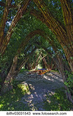 "Schlepzig Willow Cathedral, designed by Marcel Kalberer, Spreewald, Schlepzig, Brandenburg, Germany, Europe" View Large Photo Image Stock Image - "Schlepzig Willow Cathedral, designed by Marcel Kalberer, Spreewald, Schlepzig, Brandenburg, Germany, Europe". Fotosearch