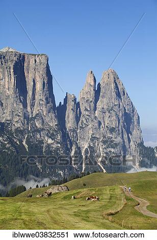 Stock Image - "Schlern Massif or Sciliar Massif, Schlern or Sciliar, Seiser Alm or Alpe di Siusi, high alpine pasture, South Tyrol, Italy, Europe". Fotosearch