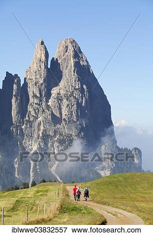 "Schlern Massif or Sciliar Massif, Schlern or Sciliar, Seiser Alm or Alpe di Siusi, high alpine pasture, South Tyrol, Italy, Europe" View Large Photo Image Stock Photo - "Schlern Massif or Sciliar Massif, Schlern or Sciliar, Seiser Alm or Alpe di Siusi, high alpine pasture, South Tyrol, Italy, Europe". Fotosearch