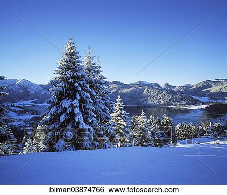 "Schliersee Lake in winter, view from Stogeralm mountain pasture, Mangfall Mountains, Upper Bavaria, Bavaria, Germany, Europe" View Large Photo Image Stock Photograph - "Schliersee Lake in winter, view from Stogeralm mountain pasture, Mangfall Mountains, Upper Bavaria, Bavaria, Germany, Europe". Fotosearch