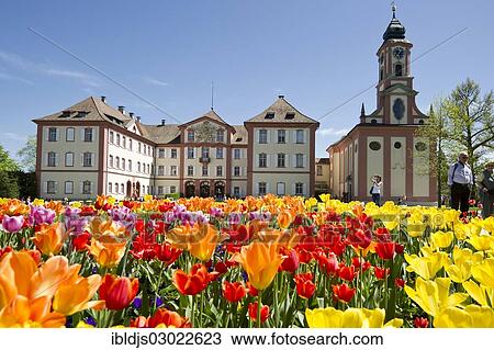 "Schloss Mainau Castle and a colourful tulip field, Insel Mainau, Konstanz, Baden-Wurttemberg, Germany, Europe" View Large Photo Image Stock Image - "Schloss Mainau Castle and a colourful tulip field, Insel Mainau, Konstanz, Baden-Wurttemberg, Germany, Europe". Fotosearch