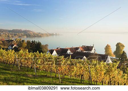 "Schloss Maurach priory and the bay of Seefeld, Lake Constance, Baden-Wuerttemberg, Germany, Europe" View Large Photo Image Stock Image - "Schloss Maurach priory and the bay of Seefeld, Lake Constance, Baden-Wuerttemberg, Germany, Europe". Fotosearch