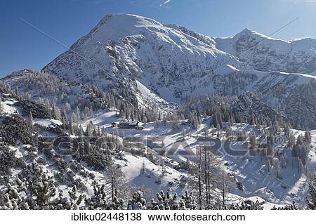 "Schneibstein Mountain with Schneibsteinhaus mountain hut, Berchtesgaden National Park, view from Jenner Mountain, Berchtesgadener Land, Bavaria, Germany, Europe" View Large Photo Image Stock Photo - "Schneibstein Mountain with Schneibsteinhaus mountain hut, Berchtesgaden National Park, view from Jenner Mountain, Berchtesgadener Land, Bavaria, Germany, Europe". Fotosearch