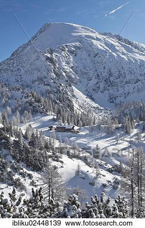 "Schneibstein Mountain with Schneibsteinhaus mountain hut, Berchtesgaden National Park, view from Jenner Mountain, Berchtesgadener Land, Bavaria, Germany, Europe" View Large Photo Image Stock Photo - "Schneibstein Mountain with Schneibsteinhaus mountain hut, Berchtesgaden National Park, view from Jenner Mountain, Berchtesgadener Land, Bavaria, Germany, Europe". Fotosearch