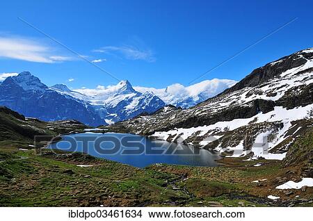 Picture - "Schreckhorn mountain seen across Bachalpsee lake, near Grindelwald, Canton of Bern, Switzerland, Europe". Fotosearch