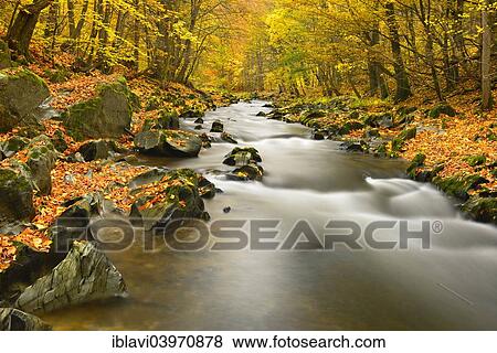 "Schwarza River in the autumn, Schwarza valley between Bad Blankenburg and Schwarzburg, Thuringia, Germany, Europe" View Large Photo Image Stock Photo - "Schwarza River in the autumn, Schwarza valley between Bad Blankenburg and Schwarzburg, Thuringia, Germany, Europe". Fotosearch