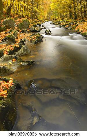 "Schwarza River in the autumn, Schwarza valley between Bad Blankenburg and Schwarzburg, Thuringia, Germany, Europe" View Large Photo Image Stock Photography - "Schwarza River in the autumn, Schwarza valley between Bad Blankenburg and Schwarzburg, Thuringia, Germany, Europe". Fotosearch