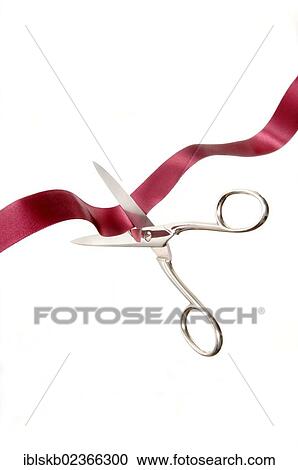 Scissors cutting a red ribbon View Large Photo Image Stock Image - Scissors cutting a red ribbon. Fotosearch