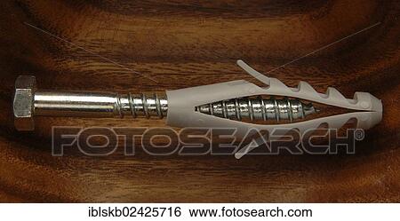 Screw in a plastic dowel View Large Photo Image Stock Photograph - Screw in a plastic dowel. Fotosearch