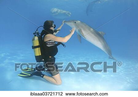 "Scuba diver and a Bottlenose Dolphin (Tursiops truncatus), dolphinarium, Odessa, Odessa Oblast, Ukraine, Europe" View Large Photo Image Stock Image - "Scuba diver and a Bottlenose Dolphin (Tursiops truncatus), dolphinarium, Odessa, Odessa Oblast, Ukraine, Europe". Fotosearch