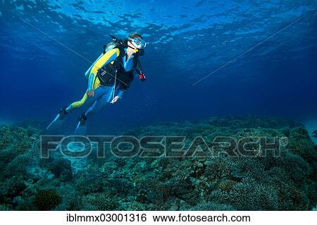 "Scuba diver at a coral reef, South China Sea, Mulaong, -, Mimaropa, Philippines, Asia" View Large Photo Image Stock Photograph - "Scuba diver at a coral reef, South China Sea, Mulaong, -, Mimaropa, Philippines, Asia". Fotosearch