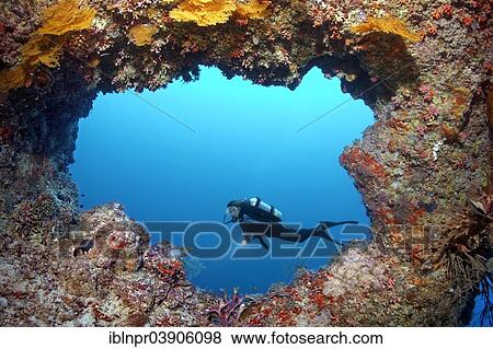 "Scuba diver diving in front of a cave entrance, Lhaviyani Atoll, Indian Ocean, Maldives, Asia" View Large Photo Image Stock Photo - "Scuba diver diving in front of a cave entrance, Lhaviyani Atoll, Indian Ocean, Maldives, Asia". Fotosearch