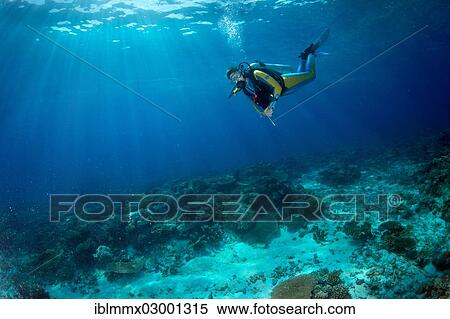 "Scuba diver in a coral reef, South China Sea, Mulaong, -, Mimaropa, Philippines, Asia" View Large Photo Image Stock Photography - "Scuba diver in a coral reef, South China Sea, Mulaong, -, Mimaropa, Philippines, Asia". Fotosearch