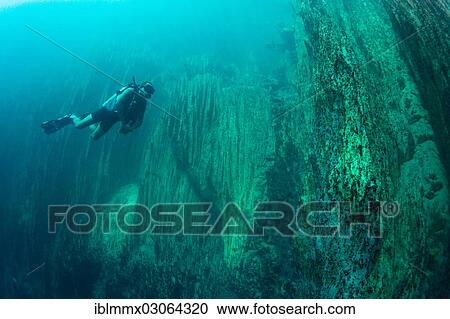 Stock Image - "Scuba diver in Barracuda Lake, Bancuan, Naturschutzgebiet Coron, Calamian Islands, Palawan, Mimaropa, Philippines, Asia". Fotosearch