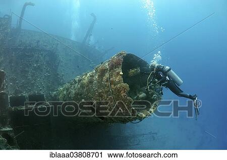 Stock Image - "Scuba diver looking at shipwreck """"Giannis D"""", Red Sea, Egypt, Africa". Fotosearch