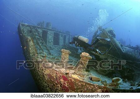 Stock Photograph - "Scuba diver looking at shipwreck """"SS Thistlegorm"""", Red Sea, Egypt, Africa". Fotosearch