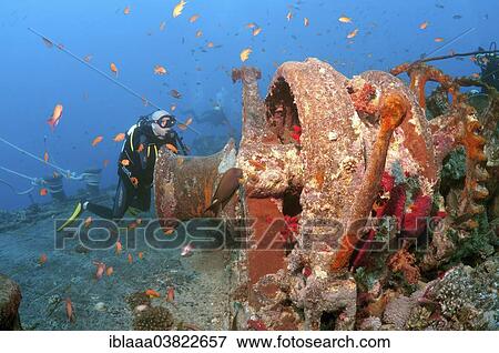 "Scuba diver looking at winch of shipwreck """"SS Thistlegorm"""", Red Sea, Egypt, Africa" View Large Photo Image Stock Photo - "Scuba diver looking at winch of shipwreck """"SS Thistlegorm"""", Red Sea, Egypt, Africa". Fotosearch