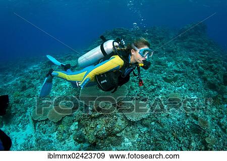 Scuba diver swimming in a coral reef, Philippines, Asia View Large Photo Image Stock Photo - Scuba diver swimming in a coral reef, Philippines, Asia. Fotosearch
