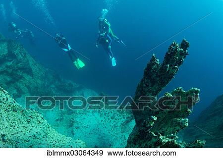 "Scuba divers in Barracuda Lake, Bancuan, Naturschutzgebiet Coron, Calamian Islands, Palawan, Mimaropa, Philippines, Asia" View Large Photo Image Stock Photo - "Scuba divers in Barracuda Lake, Bancuan, Naturschutzgebiet Coron, Calamian Islands, Palawan, Mimaropa, Philippines, Asia". Fotosearch