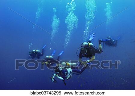 "Scuba divers with air bubbles, Raja Ampat, West Papua, Indonesia, Asia" View Large Photo Image Stock Photography - "Scuba divers with air bubbles, Raja Ampat, West Papua, Indonesia, Asia". Fotosearch