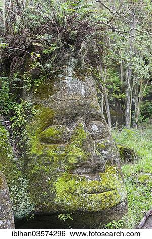 "Sculpture of a face, hewn tuff rock, Isla Santa Maria or Floreana Island, Galapagos Islands, Ecuador, South America" View Large Photo Image Stock Photograph - "Sculpture of a face, hewn tuff rock, Isla Santa Maria or Floreana Island, Galapagos Islands, Ecuador, South America". Fotosearch