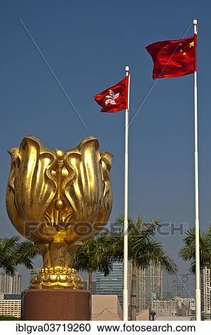"Sculpture of a gilded eternal Bauhinia flower with the flags of Hong Kong and China, China's reunification gift to Hong Kong, 1997, Hong Kong, Hong Kong, China, People's Republic of China, Asia" View Large Photo Image Stock Image - "Sculpture of a gilded eternal Bauhinia flower with the flags of Hong Kong and China, China's reunification gift to Hong Kong, 1997, Hong Kong, Hong Kong, China, People's Republic of China, Asia". Fotosearch