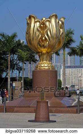 "Sculpture of a gilded eternal Bauhinia flower, China's reunification gift to Hong Kong, 1997, Hong Kong, Hong Kong, China, People's Republic of China, Asia" View Large Photo Image Stock Photo - "Sculpture of a gilded eternal Bauhinia flower, China's reunification gift to Hong Kong, 1997, Hong Kong, Hong Kong, China, People's Republic of China, Asia". Fotosearch