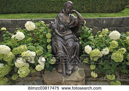 "Sculpture of Margravine Wilhelmine with a dog, surrounded by flowering 'Annabelle' Hydrangea (Hydrangea), Bayreuth, Bavaria, Germany, Europe" View Large Photo Image Stock Photography - "Sculpture of Margravine Wilhelmine with a dog, surrounded by flowering 'Annabelle' Hydrangea (Hydrangea), Bayreuth, Bavaria, Germany, Europe". Fotosearch