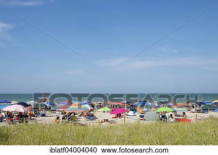 "Sea and a sandy beach with sunshades, grass at the front, Senigallia, Province of Ancona, Marche, Italy, Europe" View Large Photo Image Stock Image - "Sea and a sandy beach with sunshades, grass at the front, Senigallia, Province of Ancona, Marche, Italy, Europe". Fotosearch