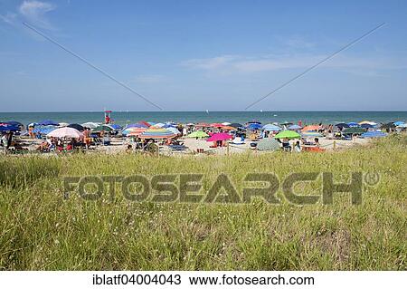 "Sea and a sandy beach with sunshades, grass at the front, Senigallia, Province of Ancona, Marche, Italy, Europe" View Large Photo Image Stock Image - "Sea and a sandy beach with sunshades, grass at the front, Senigallia, Province of Ancona, Marche, Italy, Europe". Fotosearch