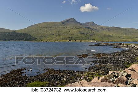 "Sea bay with a Munro Mountain, Argyll, Isle of Mull, Scotland, United Kingdom, Europe" View Large Photo Image Stock Image - "Sea bay with a Munro Mountain, Argyll, Isle of Mull, Scotland, United Kingdom, Europe". Fotosearch