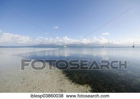 Stock Photo - "Sea grass, crystal clear water, Cayos Los Grullos island, San Blas Islands, Panama, North America". Fotosearch