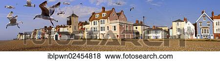 "Seafront houses and shingle beach of Aldeburgh, Suffolk, England, United Kingdom, Europe" View Large Photo Image Stock Photo - "Seafront houses and shingle beach of Aldeburgh, Suffolk, England, United Kingdom, Europe". Fotosearch