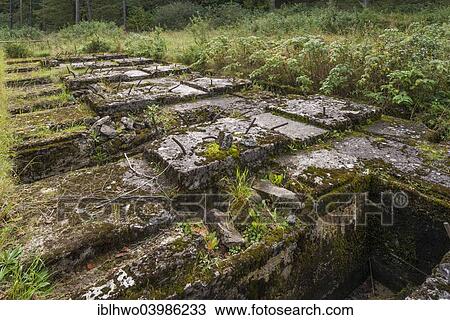 "Secret Fuhrer headquarters for Hitler, foundations of the generator plant, bunker with 25 tunnels, built 1944-1945 by concentration camp prisoners, Jonastal, Arnstadt, Thuringia, Germany, Europe" View Large Photo Image Stock Image - "Secret Fuhrer headquarters for Hitler, foundations of the generator plant, bunker with 25 tunnels, built 1944-1945 by concentration camp prisoners, Jonastal, Arnstadt, Thuringia, Germany, Europe". Fotosearch