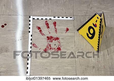 "Securing of forensic evidence at a crime scene, after a capital offence, homicide, by the C. I. D., the Criminal Investigation Department, re-enacted scene" View Large Photo Image Stock Photography - "Securing of forensic evidence at a crime scene, after a capital offence, homicide, by the C. I. D., the Criminal Investigation Department, re-enacted scene". Fotosearch