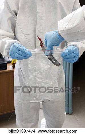 "Securing of the possible murder weapon, knife, officers of the C. I. D., the Criminal Investigation Department, gathering forensic evidence at the scene of a crime, after a capital offence, homicide, re-enacted scene" View Large Photo Image Picture - "Securing of the possible murder weapon, knife, officers of the C. I. D., the Criminal Investigation Department, gathering forensic evidence at the scene of a crime, after a capital offence, homicide, re-enacted scene". Fotosearch