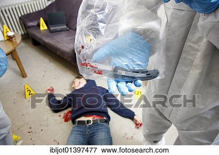 "Securing of the possible murder weapon, knife, officer of the C. I. D., the Criminal Investigation Department, gathering forensic evidence at the scene of a crime, after a capital offence, homicide, re-enacted scene" View Large Photo Image Stock Photo - "Securing of the possible murder weapon, knife, officer of the C. I. D., the Criminal Investigation Department, gathering forensic evidence at the scene of a crime, after a capital offence, homicide, re-enacted scene". Fotosearch