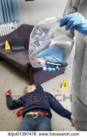 "Securing of the possible murder weapon, knife, officer of the C. I. D., the Criminal Investigation Department, gathering forensic evidence at the scene of a crime, after a capital offence, homicide, re-enacted scene" View Large Photo Image Stock Photo - "Securing of the possible murder weapon, knife, officer of the C. I. D., the Criminal Investigation Department, gathering forensic evidence at the scene of a crime, after a capital offence, homicide, re-enacted scene". Fotosearch