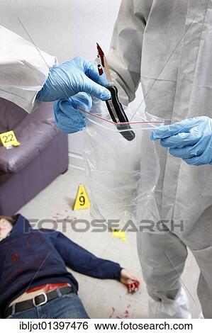 "Securing of the possible murder weapon, knife, officers of the C. I. D., the Criminal Investigation Department, gathering forensic evidence at the scene of a crime, after a capital offence, homicide, re-enacted scene" View Large Photo Image Stock Photograph - "Securing of the possible murder weapon, knife, officers of the C. I. D., the Criminal Investigation Department, gathering forensic evidence at the scene of a crime, after a capital offence, homicide, re-enacted scene". Fotosearch