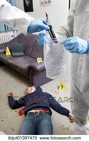 "Securing of the possible murder weapon, knife, officers of the C. I. D., the Criminal Investigation Department, gathering forensic evidence at the scene of a crime, after a capital offence, homicide, re-enacted scene" View Large Photo Image Stock Photography - "Securing of the possible murder weapon, knife, officers of the C. I. D., the Criminal Investigation Department, gathering forensic evidence at the scene of a crime, after a capital offence, homicide, re-enacted scene". Fotosearch