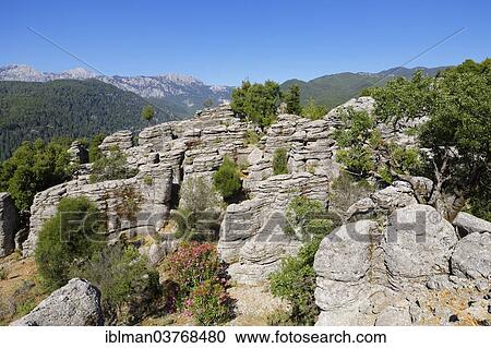 "Sedimentary rocks, Taurus Mountains, Koprulu Canyon National Park, Antalya Province, Turkey, Asia" View Large Photo Image Stock Image - "Sedimentary rocks, Taurus Mountains, Koprulu Canyon National Park, Antalya Province, Turkey, Asia". Fotosearch