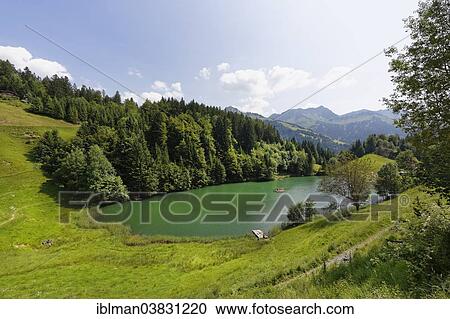 "Seewaldsee lake near Fontanella, Grosses Walsertal Biosphere Reserve, Vorarlberg, Austria, Europe" View Large Photo Image Stock Image - "Seewaldsee lake near Fontanella, Grosses Walsertal Biosphere Reserve, Vorarlberg, Austria, Europe". Fotosearch
