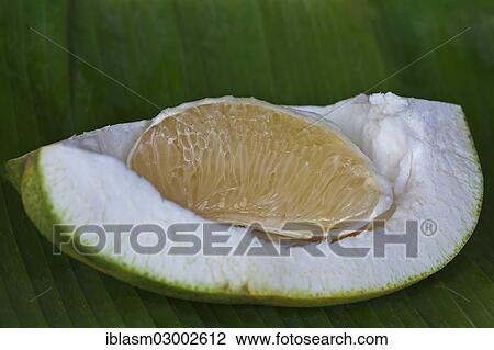 "Segment of a pomelo fruit, on a banana leaf" View Large Photo Image Stock Image - "Segment of a pomelo fruit, on a banana leaf". Fotosearch