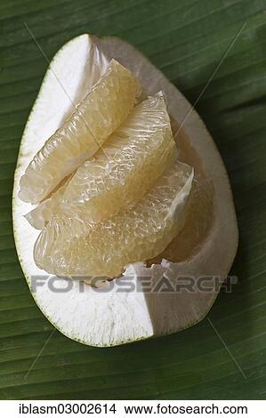 "Segments of a pomelo fruit, lying on a banana leaf" View Large Photo Image Picture - "Segments of a pomelo fruit, lying on a banana leaf". Fotosearch