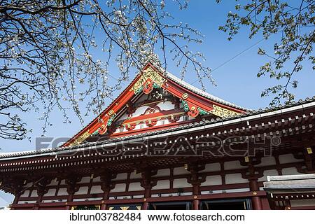 "SensÅ-ji temple, Asakusa, Tokyo, Japan, Asia" View Large Photo Image Picture - "SensÅ-ji temple, Asakusa, Tokyo, Japan, Asia". Fotosearch