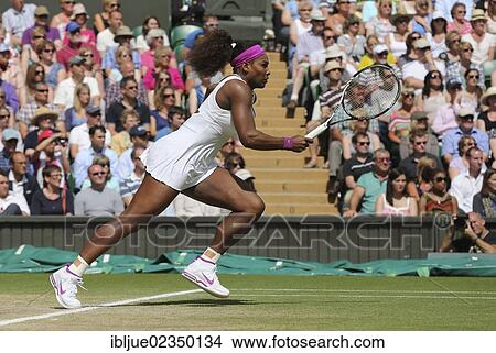 "Serena Williams, USA, women's semi-final match, Wimbledon Championships 2012 AELTC, ITF Grand Slam Tennis Tournament, London, England, United Kingdom, Europe" View Large Photo Image Picture - "Serena Williams, USA, women's semi-final match, Wimbledon Championships 2012 AELTC, ITF Grand Slam Tennis Tournament, London, England, United Kingdom, Europe". Fotosearch